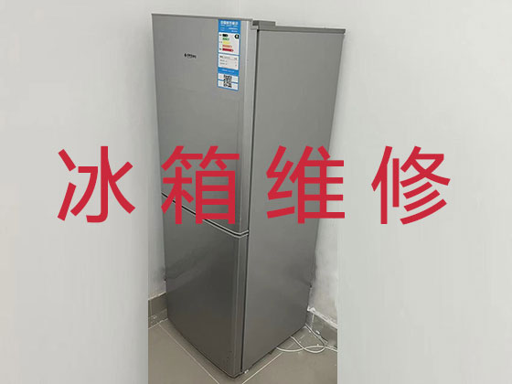 揭阳专业电冰箱安装